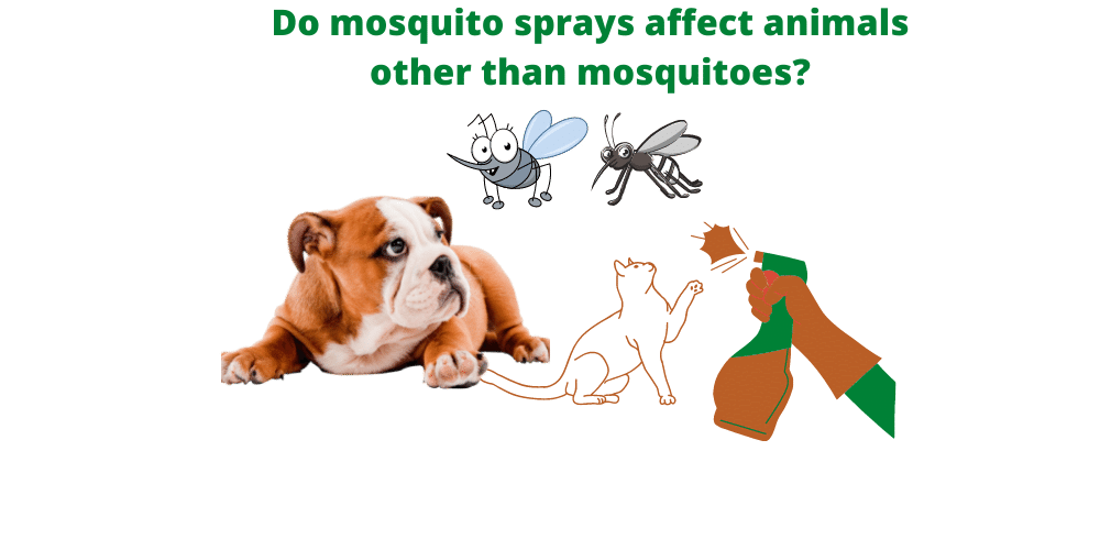 Do mosquito sprays affect animals other than mosquitoes