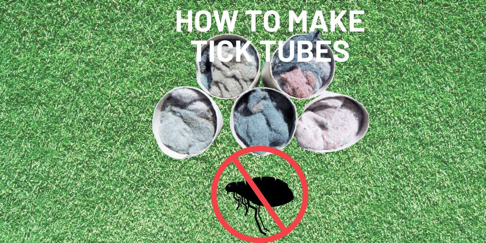 HOW TO MAKE TICK TUBES