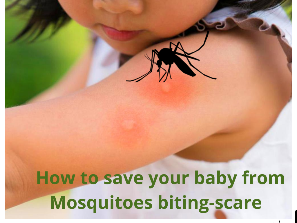 How-to-save-babies-from-mosqutioes-biting-scare