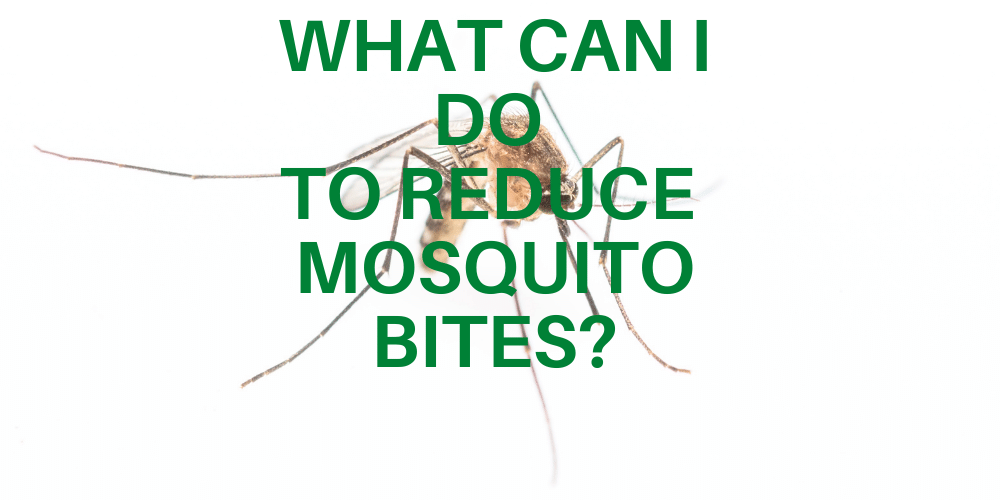 What can I do to reduce mosquito bites
